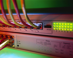 Networking Connection